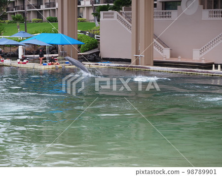 Ultimate Resort Time in Hawaii 98789901