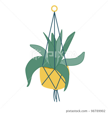 Hand-drawn isolated clip art illustration of houseplant in hanging pot Hand-drawn isolated clip art illustration of houseplant in hanging pot 98789902