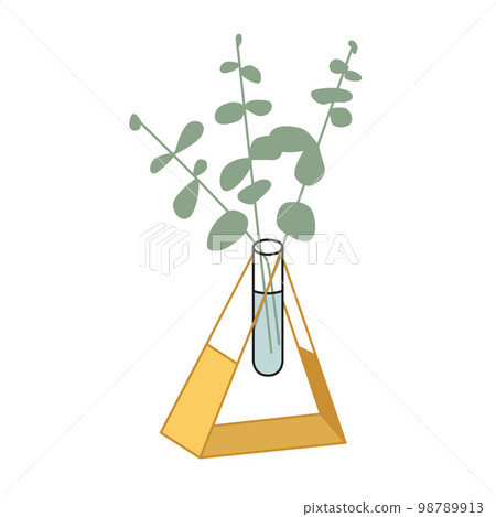 Hand-drawn isolated clip art illustration of modern desk plant in test tube and triangle golden holder Hand-drawn isolated clip art illustration of modern desk plant in test tube and triangle golden holder 98789913