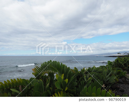 夏威夷大島的休閒時光 98790019