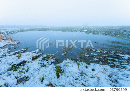 Water from melting snow on a rural field, view on a foggy day, Czulczyce, Poland Water from melting snow on a rural field, view on a foggy day, Czulczyce, Poland 98790299