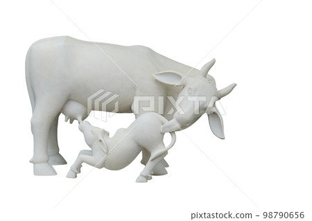 old white large cow and small cow on white background, animal, object, vintage, copy space old white large cow and small cow on white background, animal, object, vintage, copy space 98790656
