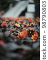 一朵光亮的橙色花 98790803