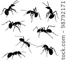 ant, insect, crawling, black, vector, drawing, silhouette, eyes, design, symbol, picture, isolated, illustration, large, abdomen, paws, nature, realism 98792171