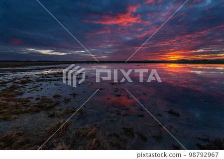 Colorful clouds during sunset over the backwaters, Czulczyce, Poland Colorful clouds during sunset over the backwaters, Czulczyce, Poland 98792967