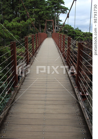 通往城崎海岸的門脅吊橋 通往城崎海岸的門脅吊橋 98793730