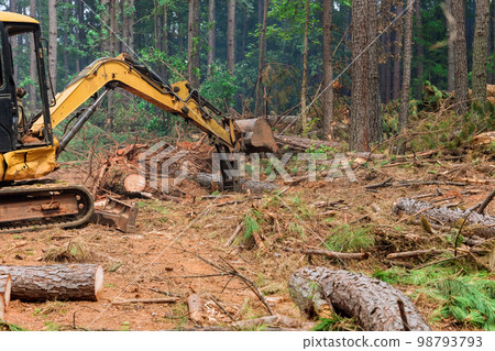 During deforestation process tractor manipulator operates to uproot trees lift logs prepare land for housing construction construction. During deforestation process tractor manipulator operates to uproot trees lift logs prepare land for housing construction construction. 98793793