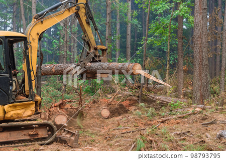 Deforestation process uses tractor manipulator to lift logs with help tractor manipulator provide land with necessary material for construction houses. 98793795