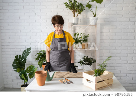 Gardening home. Woman replanting green plant in home. Potted green plants at home, home jungle, floral decor. Florist shop concept Gardening home. Woman replanting green plant in home. Potted green plants at home, home jungle, floral decor. Florist shop concept 98795195