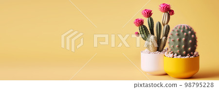 Surreal prickly cacti on pastel gradient banner. Floral creative concept. Generative AI illustration 98795228