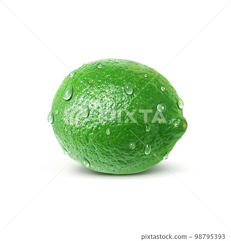 Lime illustration realistic 98795393