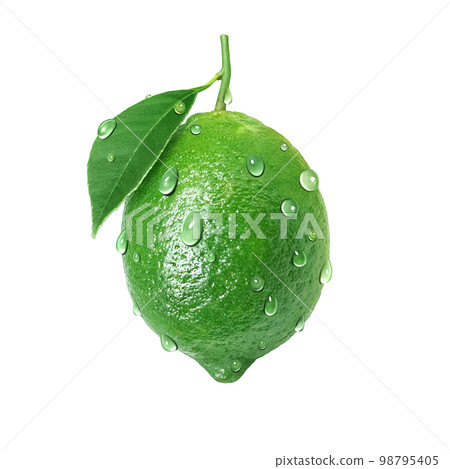 Illustration of realistic lime 98795405