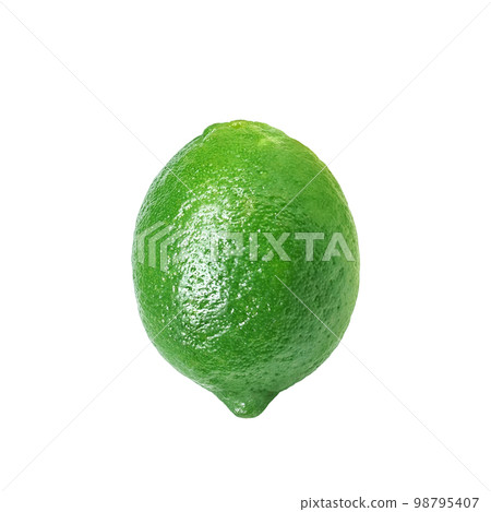 Illustration of realistic lime 98795407