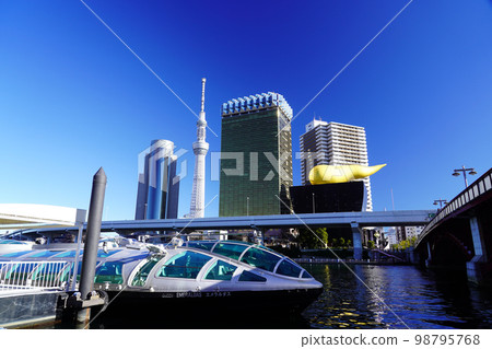Scenery with a view of the Tokyo Sky Tree, Asakusa 98795768