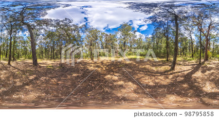 Spherical panoramic photograph of The Oaks Picnic Area in the Blue Mountains 98795858