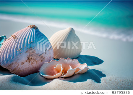 seashells on white sand seashells on white sand 98795886