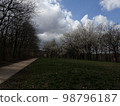 Forest of Meudon 98796187
