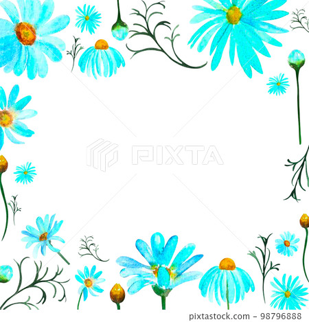 Frame of blue camomile in watercolor isolated Frame of blue camomile in watercolor isolated 98796888