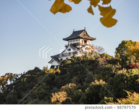 Autumn scenery of Inuyama Castle, a national treasure 98797570