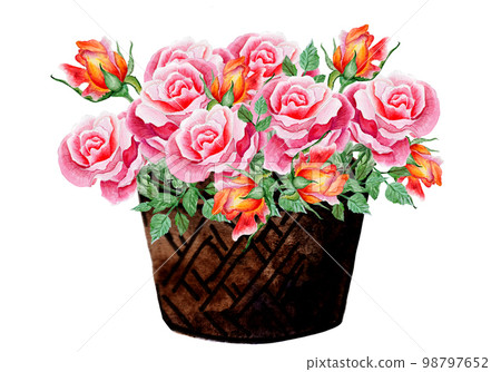 Basket Of Roses. Watercolor Illustration. Ideal for Wedding Projects Basket Of Roses. Watercolor Illustration. Ideal for Wedding Projects 98797652