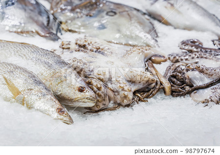 Raw and fresh fish and octopus on ice, supermarket counter 98797674