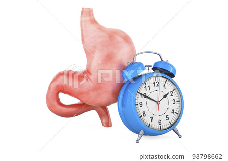 Human stomach with alarm clock. First aid and treatment of stomach concept, 3D rendering Human stomach with alarm clock. First aid and treatment of stomach concept, 3D rendering 98798662
