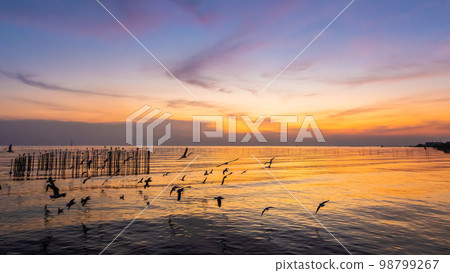 Landscape of sea coast during twilight time. Evening sunset. Landscape of sea coast during twilight time. Evening sunset. 98799267