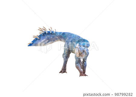 Protoceratops , dinosaur on isolated background Protoceratops , dinosaur on isolated background 98799282