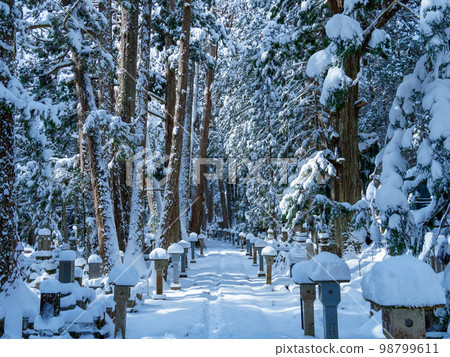 高野山雪道 高野山雪道 98799611