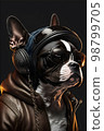 Boston Terrier dog in baseball hat and aviator jacket with headphones 98799705