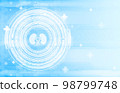 Medical hud screen with nephros. Online medicine and health concept 98799748
