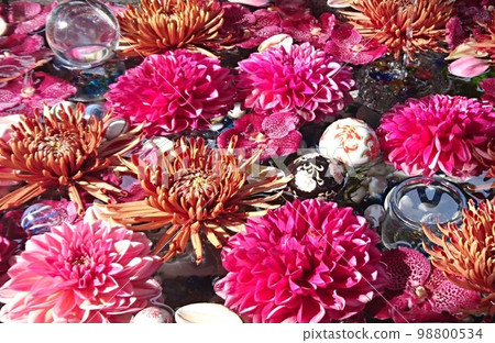 Floating flowers pink 98800534