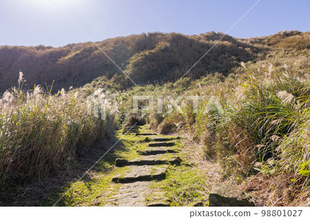 Sunny view of the beautiful landscape of Fish Road Historical Trail Sunny view of the beautiful landscape of Fish Road Historical Trail 98801027