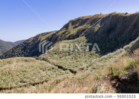 Sunny view of the beautiful landscape of Fish Road Historical Trail 98801028