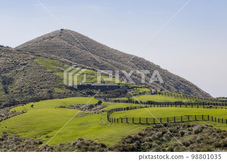 Sunny view of the Qingtiangang Grassland Sunny view of the Qingtiangang Grassland 98801035