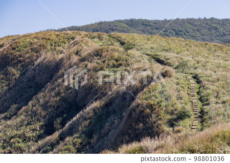Sunny view of the Qingtiangang Grassland Sunny view of the Qingtiangang Grassland 98801036