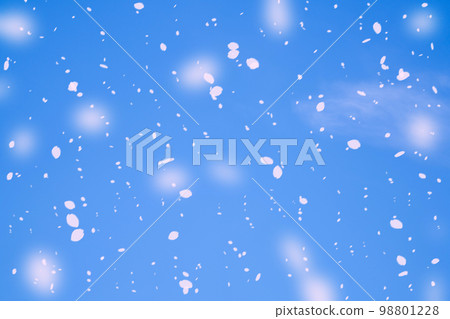 [Sakurafubuki Material] Sakurafubuki dancing in the blue sky [Nagano Prefecture] 98801228
