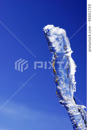 frost 98801729