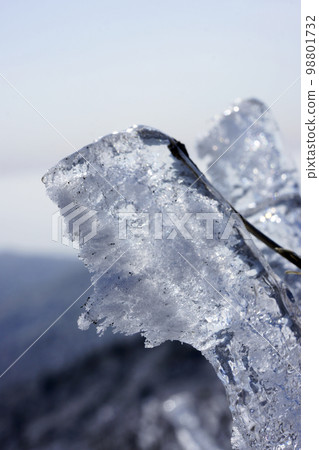 frost 98801732