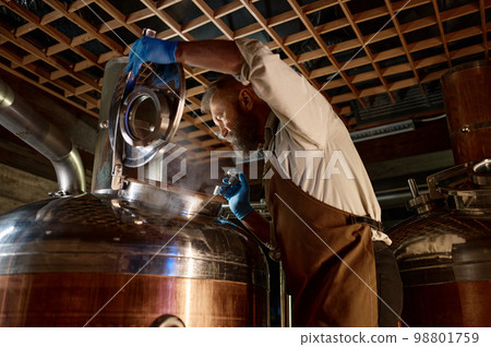 Handsome adult brewer inspecting process of brewing beer with steam Handsome adult brewer inspecting process of brewing beer with steam 98801759