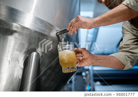 Closeup busy brewery engineer pouring beer to test quality Closeup busy brewery engineer pouring beer to test quality 98801777
