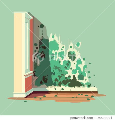 musty wall of contaminated room mold fungus musty wall of contaminated room mold fungus 98802091