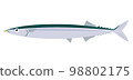 A saury illustration 98802175