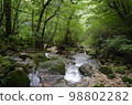 屋久島徒步旅行 98802282