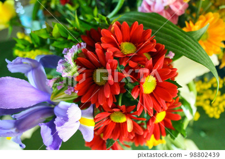 flowers background 98802439