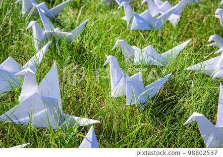 Japanese folded Origami cranes on fresh grass. Hundreds handmade paper birds on green field with copy space. 1000 thousand crane tsuru sculpture topic. Symbol of peace, faith, health, wishes and hope Japanese folded Origami cranes on fresh grass. Hundreds handmade paper birds on green field with copy space. 1000 thousand crane tsuru sculpture topic. Symbol of peace, faith, health, wishes and hope 98802537