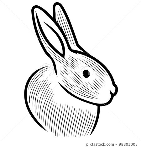 animal head mammal rabbit bunny-插圖素材 [98803005] - PIXTA圖庫