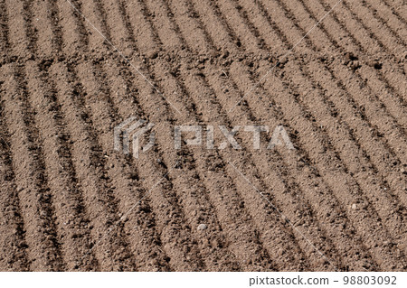 Field after spring cultivation 98803092