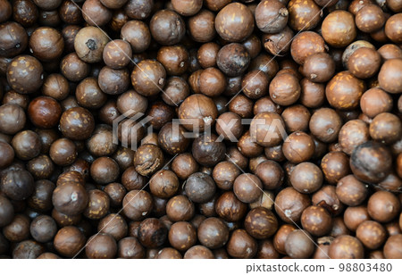 macadamia nuts texture background, fresh natural shelled raw macadamia nuts in a full frame, close up pile of roasted macadamia nut macadamia nuts texture background, fresh natural shelled raw macadamia nuts in a full frame, close up pile of roasted macadamia nut 98803480