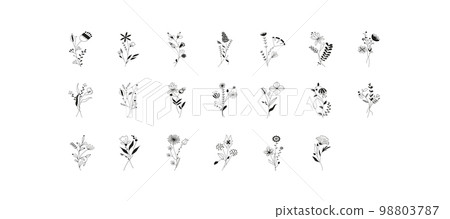 Branches Illustration Set 98803787